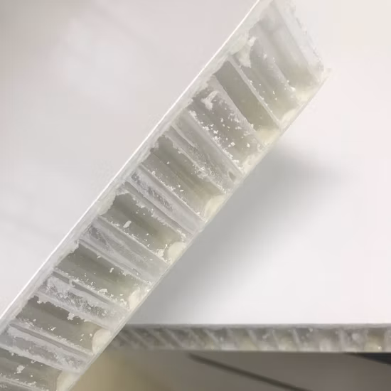 비계 페달용으로 스킨이 있는 열가소성 벌집형 PP 보드 제작 가능